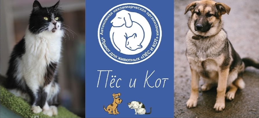 Логотип компании «Пёс и кот»