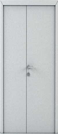 Дверь 2ДП-1 (1300*2050) с доводчиком